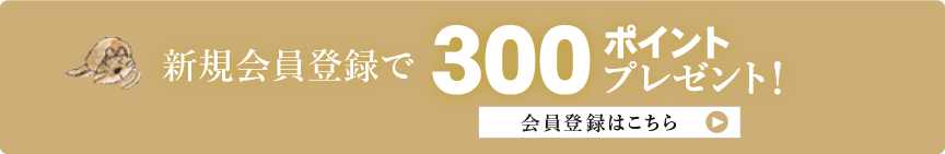 新規会員登録で300ポイントプレゼント！