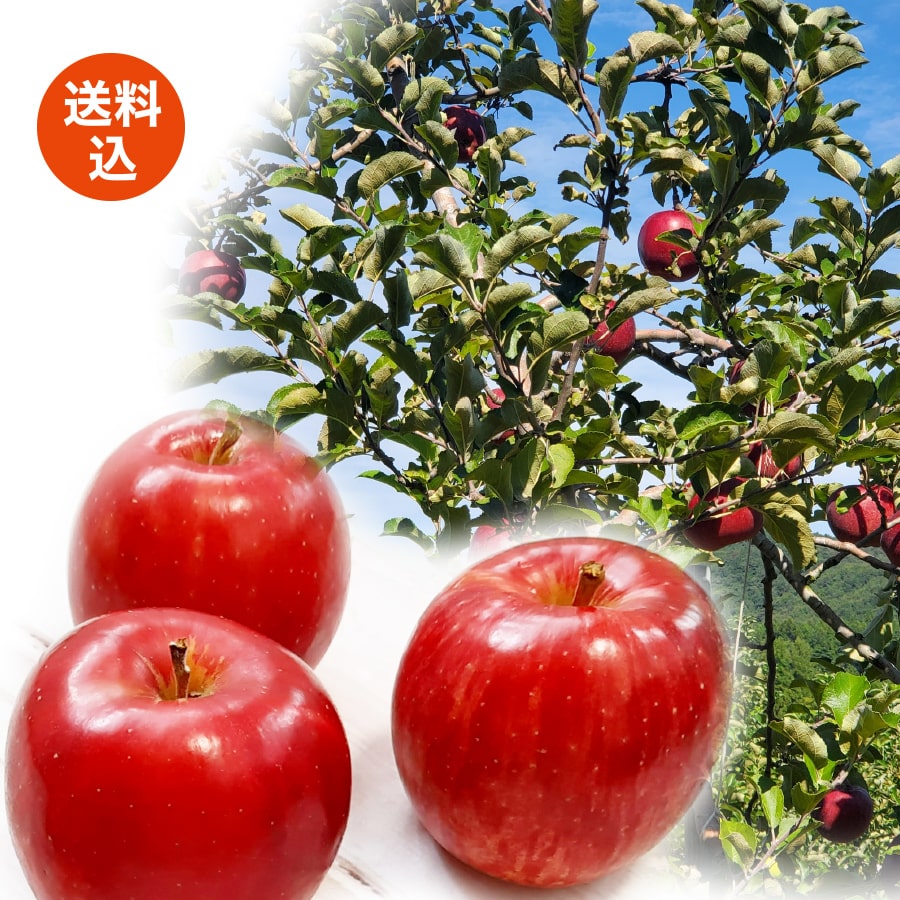 サンふじ 送料込(今季の販売は終了いたしました。たいへん申し訳ございません。)
