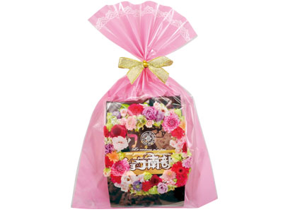プチギフト・チョコ南部(冬)